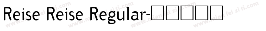 Reise Reise Regular字体转换